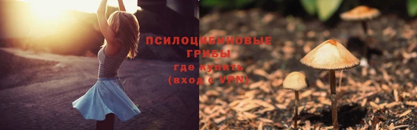гашиш Богданович