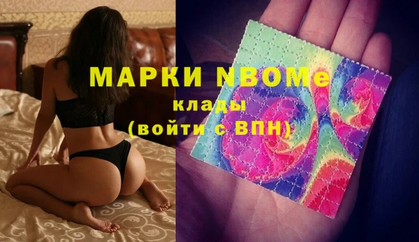 гашиш Богданович