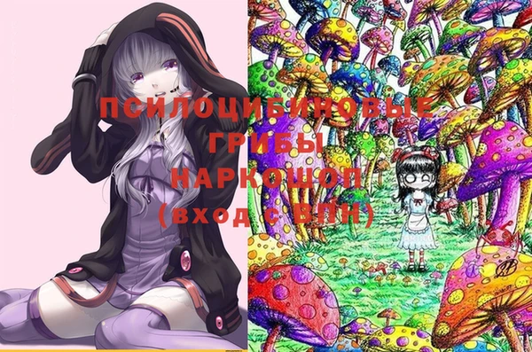гашиш Богданович
