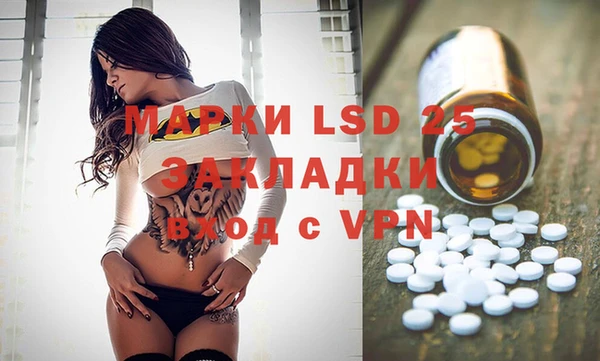 гашиш Богданович