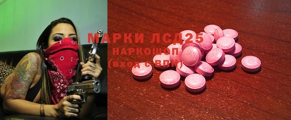 гашиш Богданович