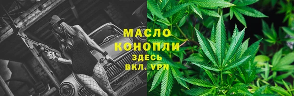 гашиш Богданович