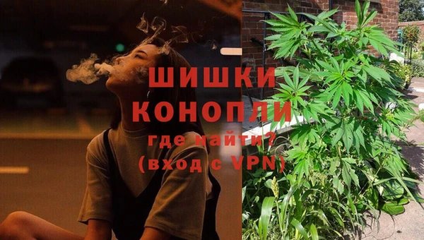 гашиш Богданович