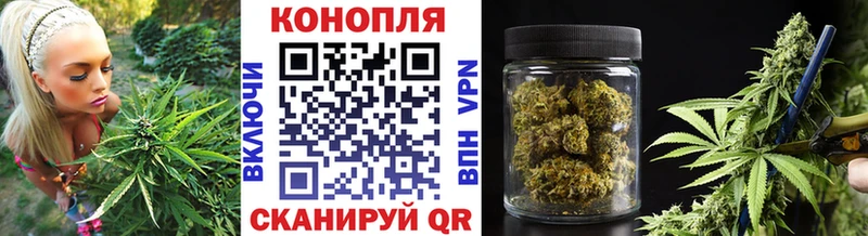 Бошки Шишки ГИДРОПОН  даркнет наркотические препараты  Дивногорск 